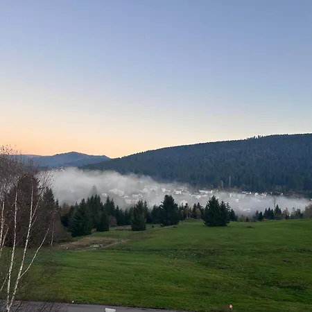 Le Cocon Des Fauvettes-Gerardmer Apartmán