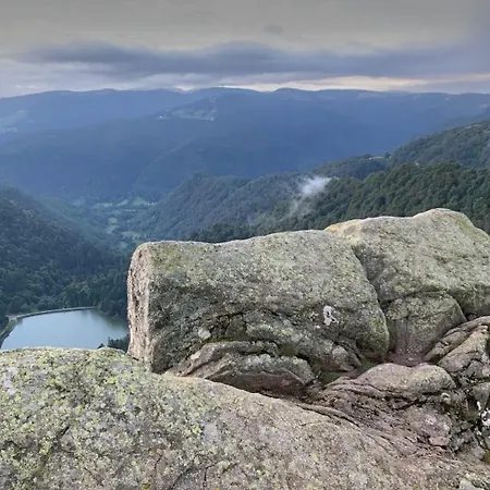 Apartmán Le Cocon Des Fauvettes-Gerardmer