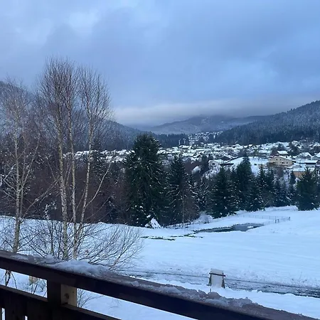 Apartmán Le Cocon Des Fauvettes-Gerardmer Gérardmer