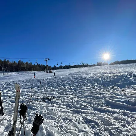 Nid Des Fauvettes-gerardmer Apartman Gérardmer