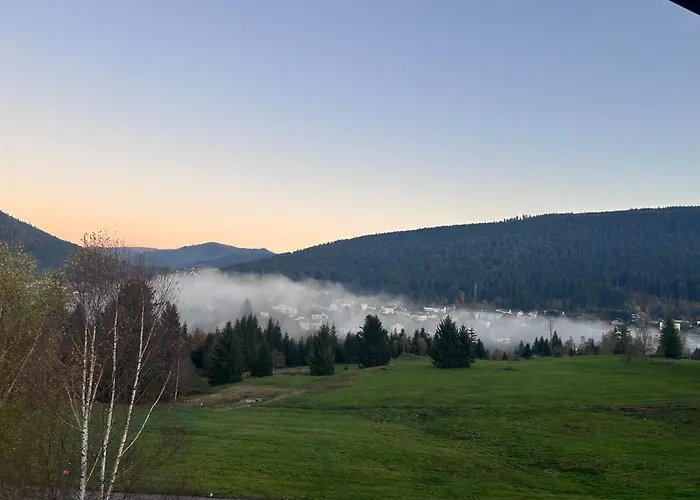 Le Cocon Des Fauvettes-Gerardmer Apartmán