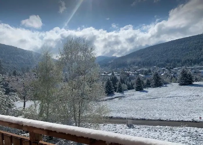 Le Cocon Des Fauvettes-Gerardmer * Gérardmer