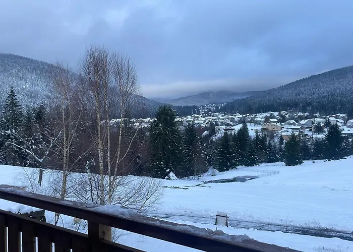 Apartmán Le Cocon Des Fauvettes-Gerardmer Gérardmer