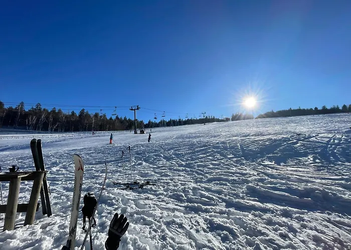 Le Cocon Des Fauvettes-Gerardmer Apartmán Gérardmer